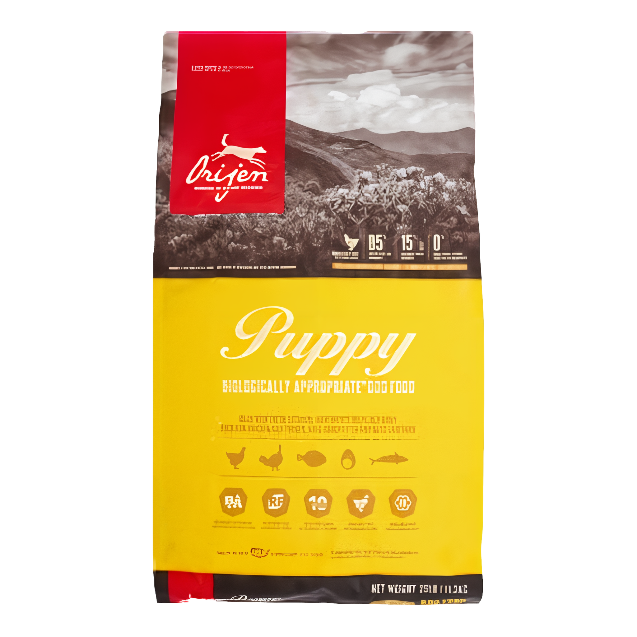 Orijen Biologically Appropriate Grain-Free Chicken Turkey & Fish Puppy Dry Dog Food
