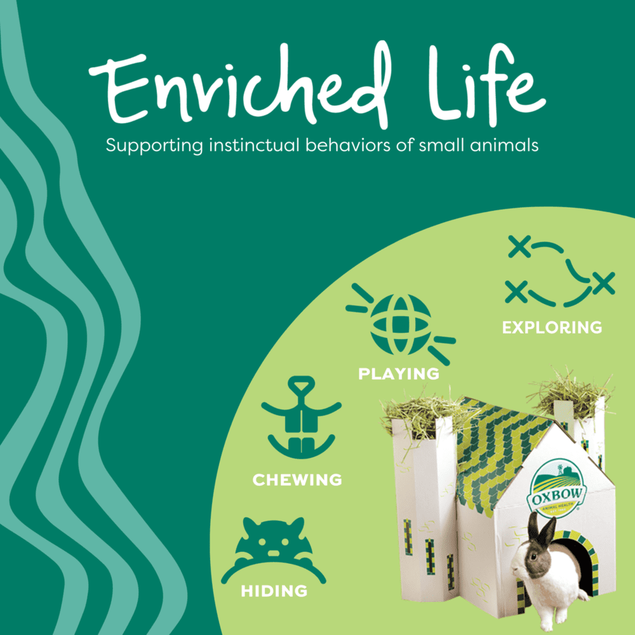 Enriched Life supports playing, exploring, chewing, and hiding behaviors