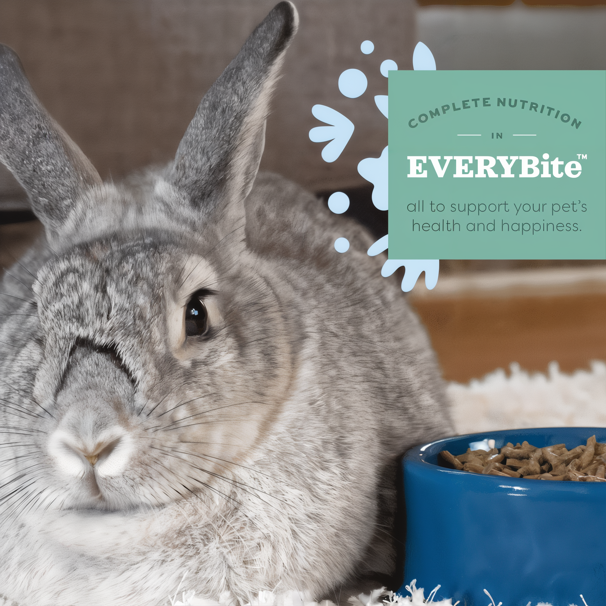 Rabbit at a bowl of Oxbow fortified food — complete nutrition in EVERYBite