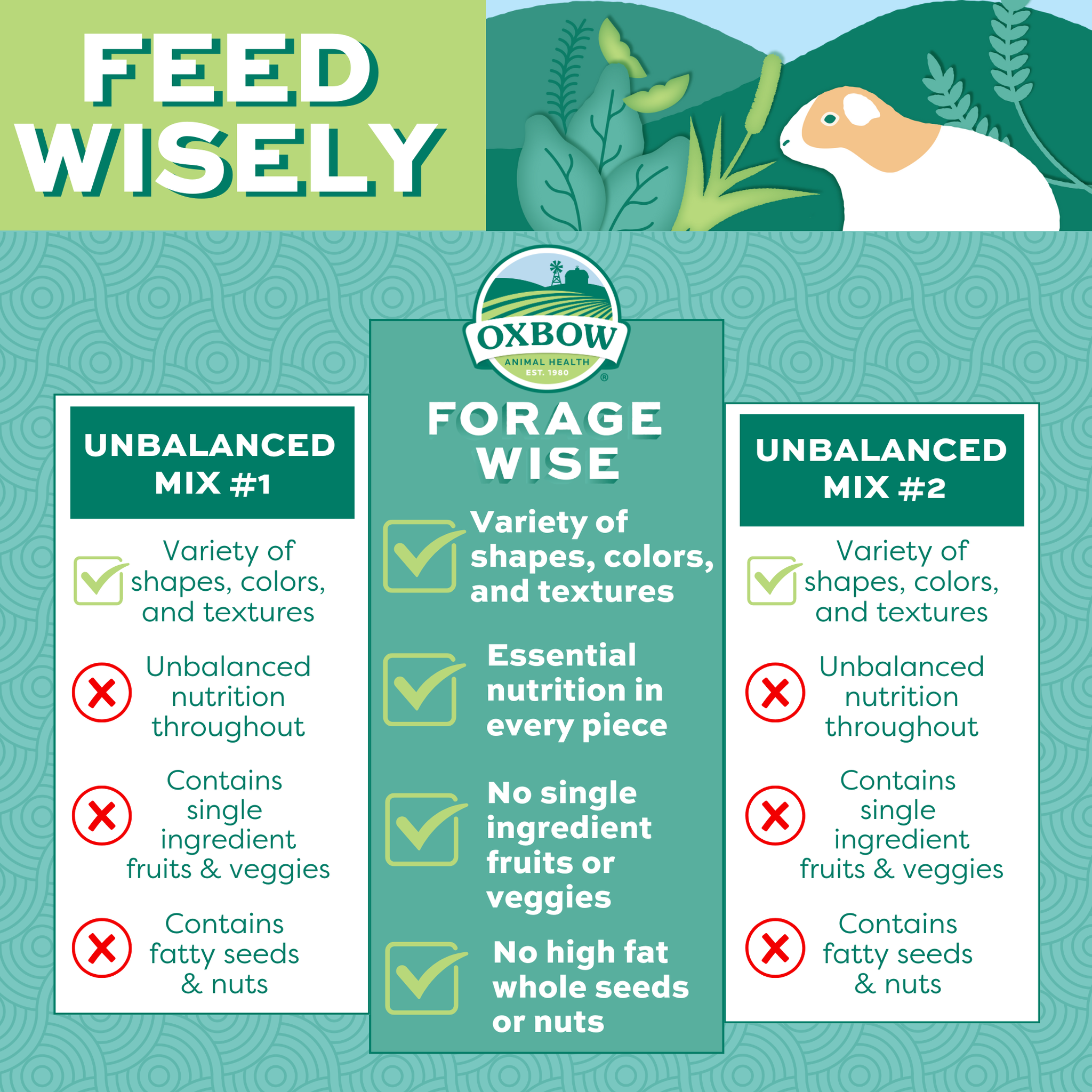 Comparison of Forage Wise balanced nutrition versus unbalanced foraging mixes