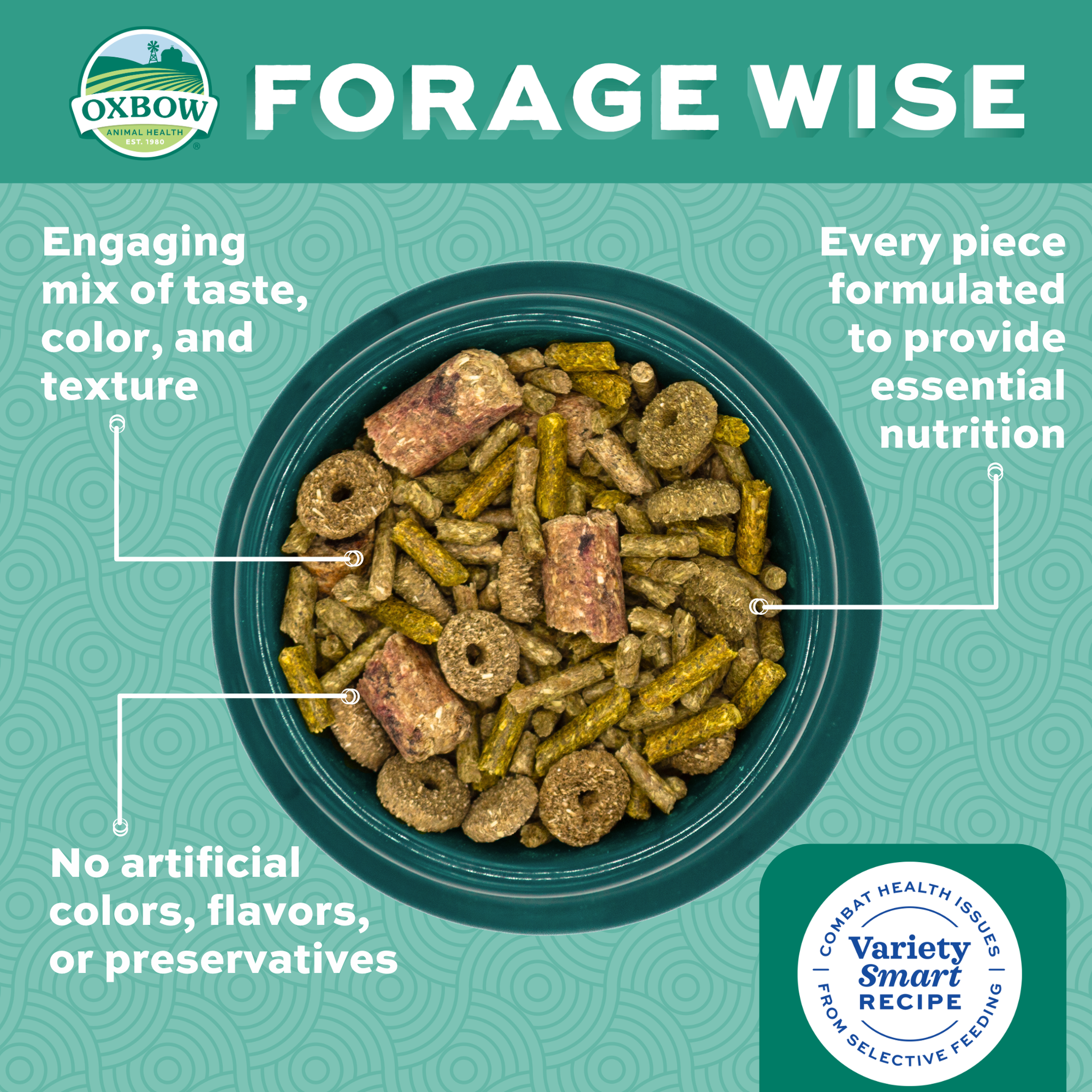 Bowl of Forage Wise rabbit food — engaging mix of taste, color, and texture with essential nutrition in every piece