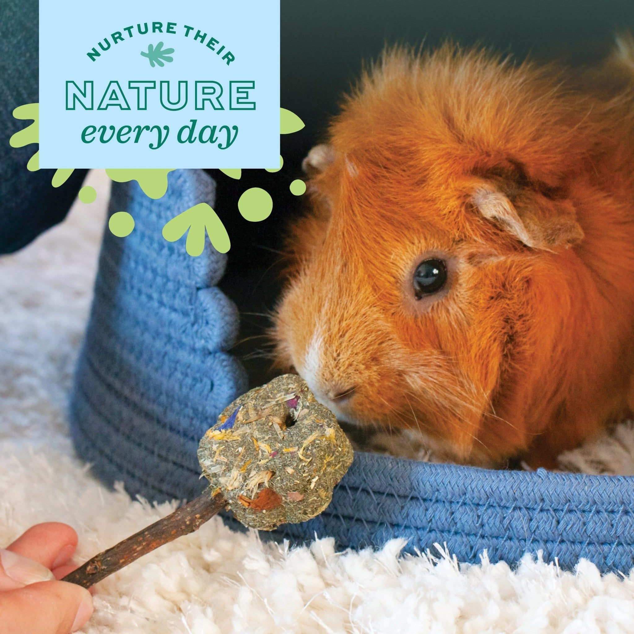 Hay is just hay unless it's grown the Oxbow way — natural chews lifestyle