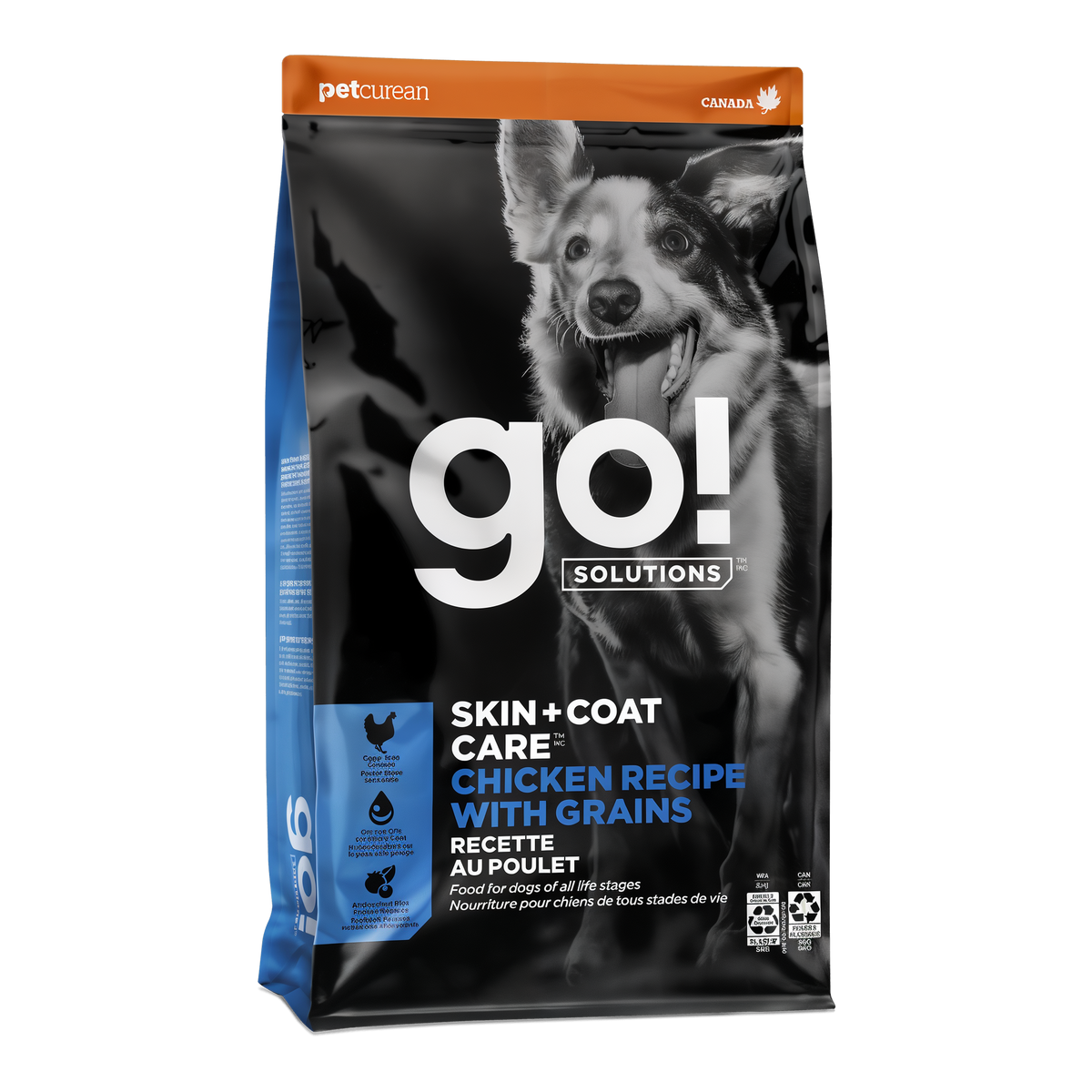 Go! Solutions Skin + Coat Care Chicken Recipe with Grains Dry Dog Food 22 lb -- product image