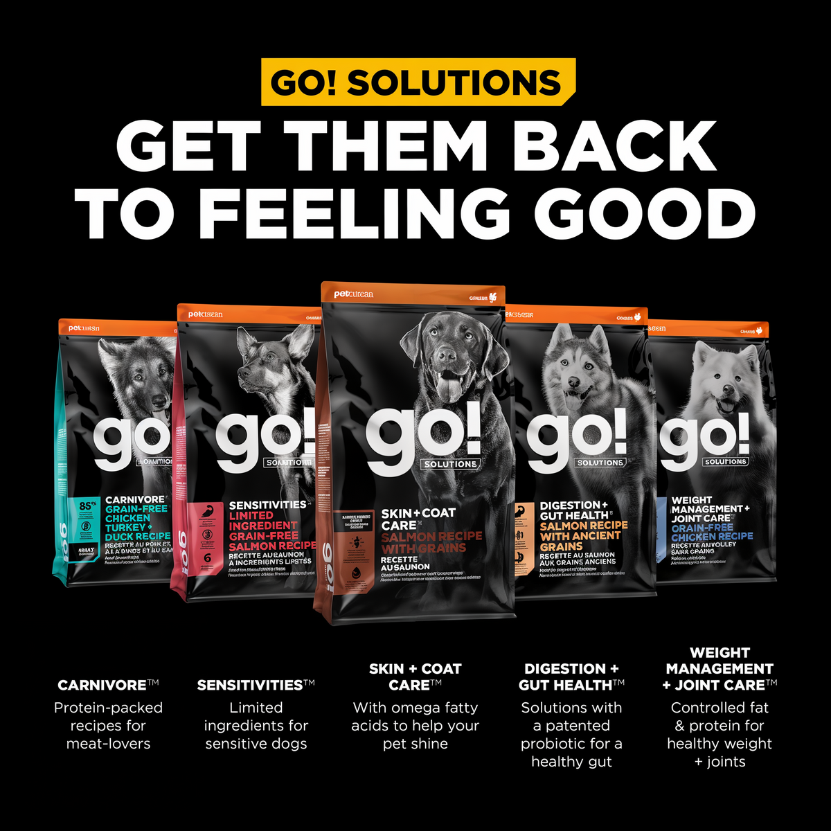 Go! Solutions Skin + Coat Care Large Breed Adult Salmon Recipe with Grains Dry Dog Food 25 lb -- other