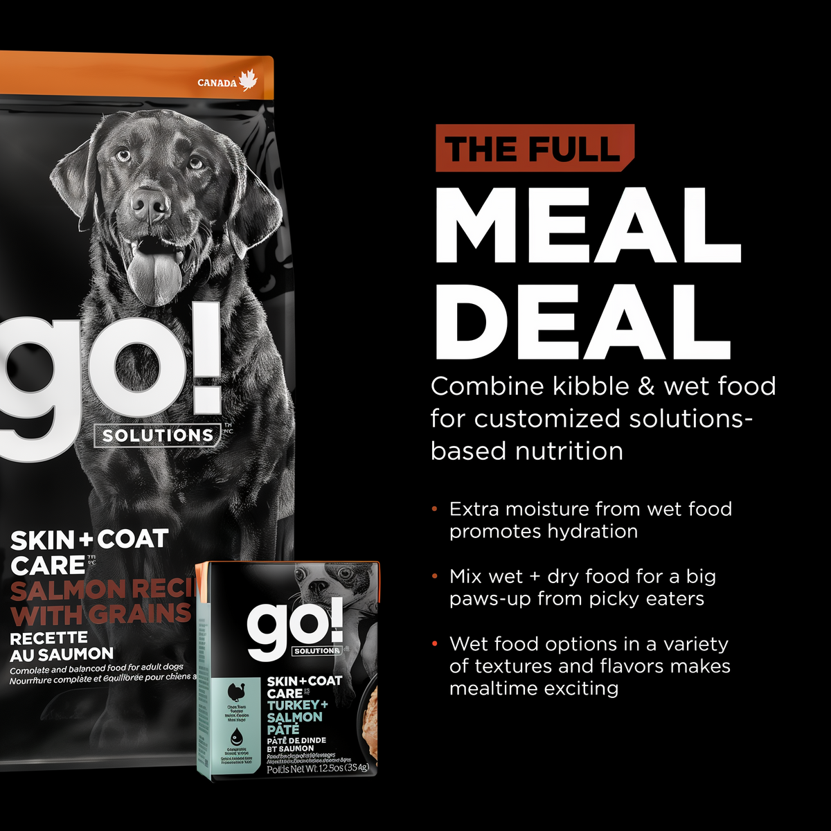 Go! Solutions Skin + Coat Care Large Breed Adult Salmon Recipe with Grains Dry Dog Food 25 lb -- other
