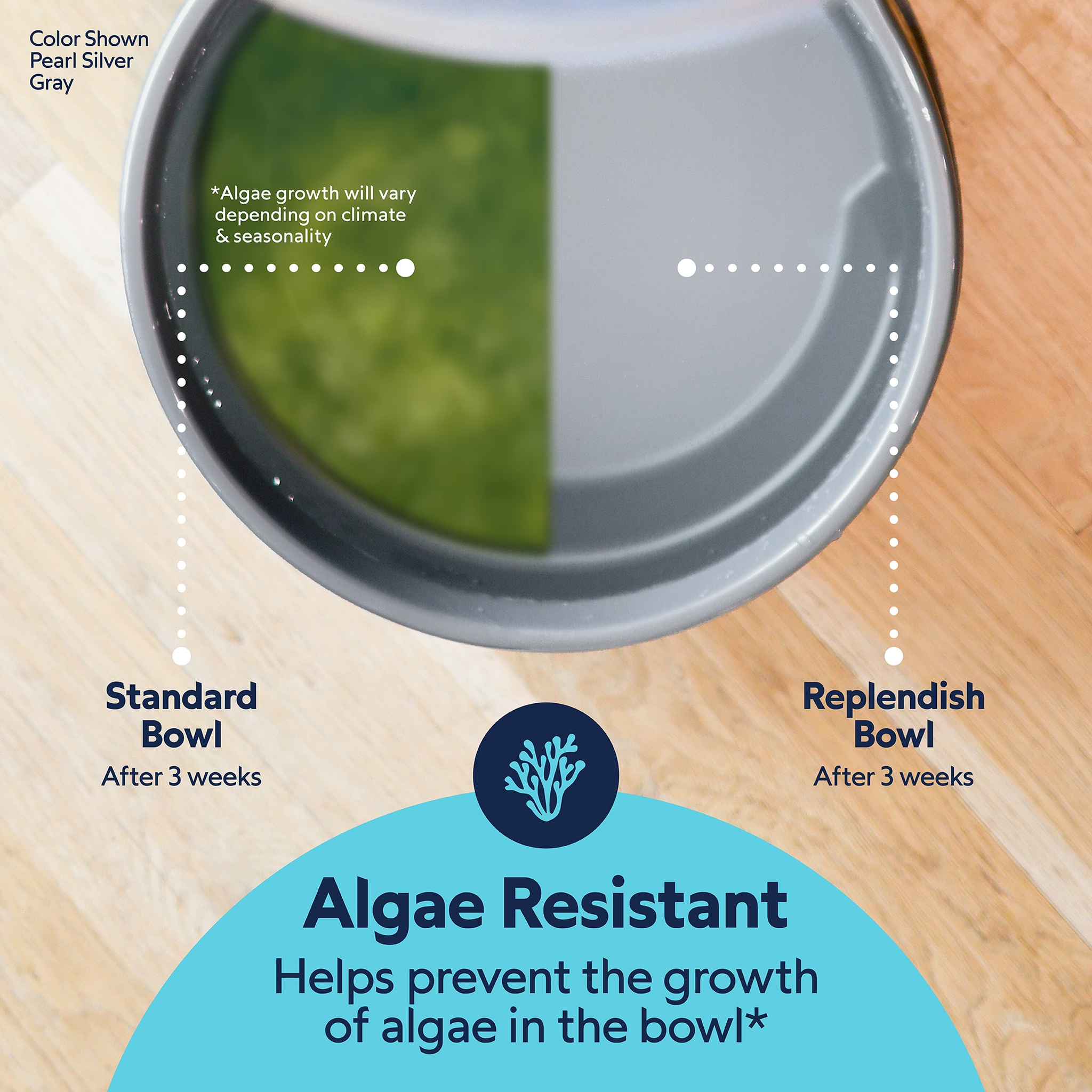 Algae comparison after three weeks: standard bowl with algae growth next to a clean Replendish bowl with Microban