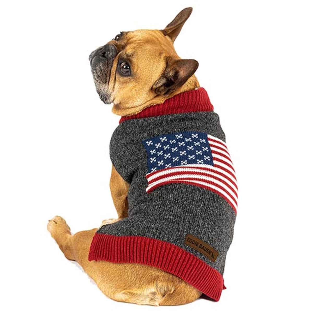 PetRageous Designs Eddie Bauer American Flag Dog Sweater Charcoal -- lifestyle