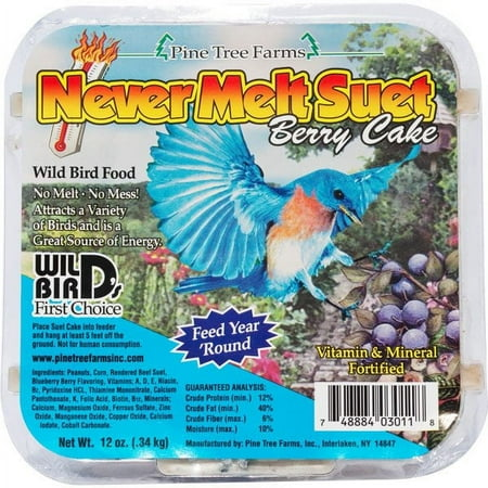 Pine Tree Never Melt Berry Suet Cake