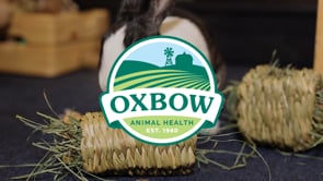 Oxbow Orchard Grass Hay product video