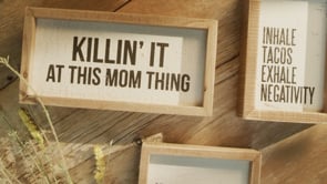 Primitives by Kathy If I Was A Bird Inset Box Sign -- video