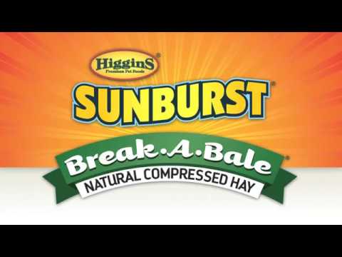 Higgins Sunburst Break-A-Bale Hay - Easy to Feed product video