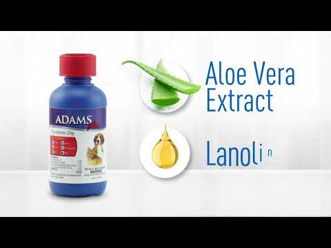 Adams Plus Pyrethrin Dip product video