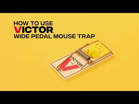 Victor Wide Pedal Mouse Trap 2 Pack -- video