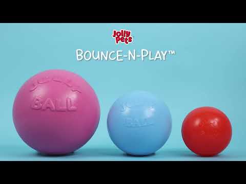 Jolly Pets Bounce-n-Play Dog Toy
