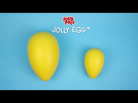 Jolly Pets Jolly Egg Dog Toy