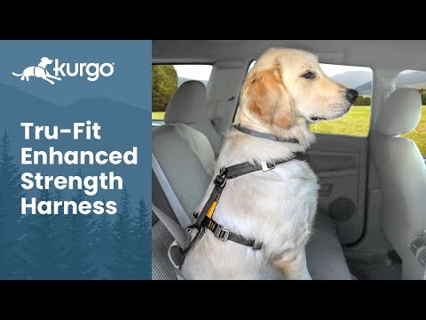 How to use the Tru-Fit Enhanced Strength harness