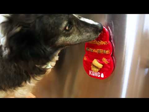 KONG Licks video