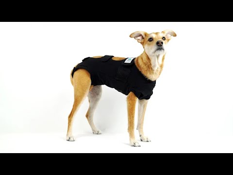 Calm Paws Premium Recovery Vest for Cats