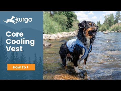 Kurgo Core Cooling Vest overview