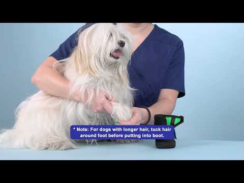 Calm Paws Recovery Boot