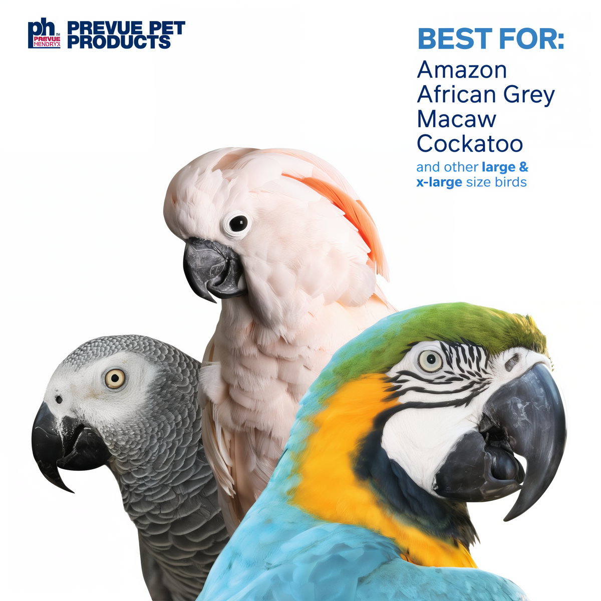 Naturals toys best for Amazon African Grey Macaw and Cockatoo parrots