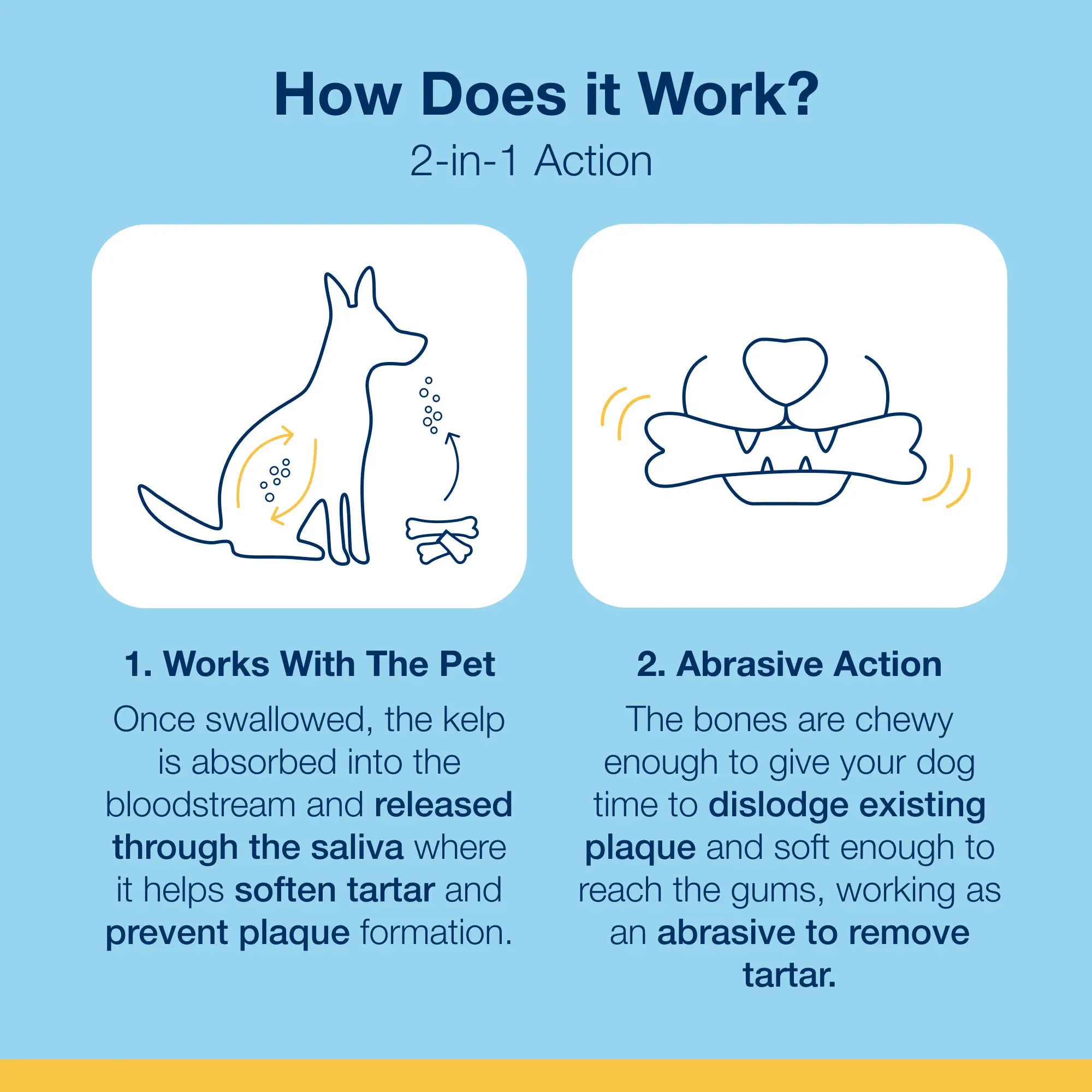 How PlaqueOff works: kelp is released through the saliva to soften tartar and prevent plaque
