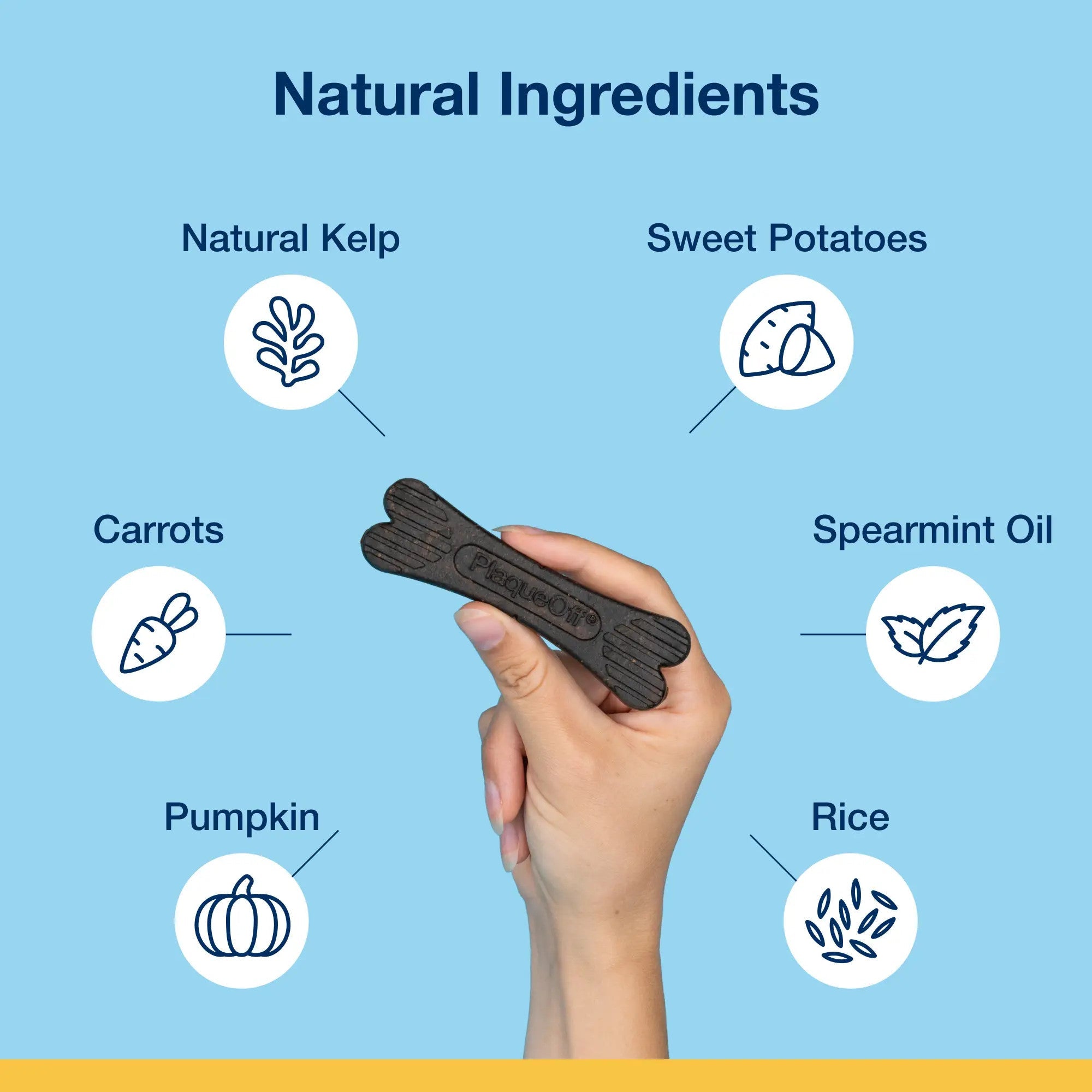 Natural ingredients including kelp, sweet potatoes, carrots, pumpkin, rice, and spearmint oil