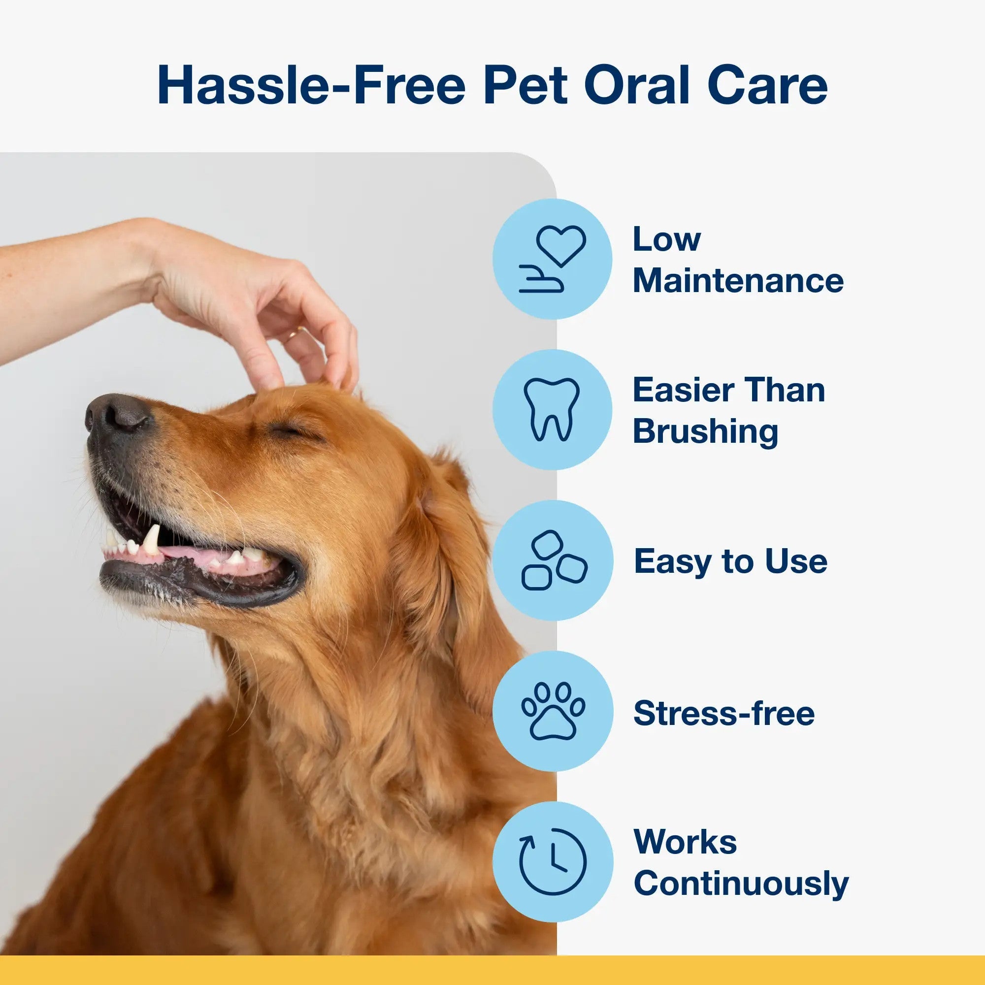 Hassle-free pet oral care: low maintenance, easier than brushing, stress free, works continuously