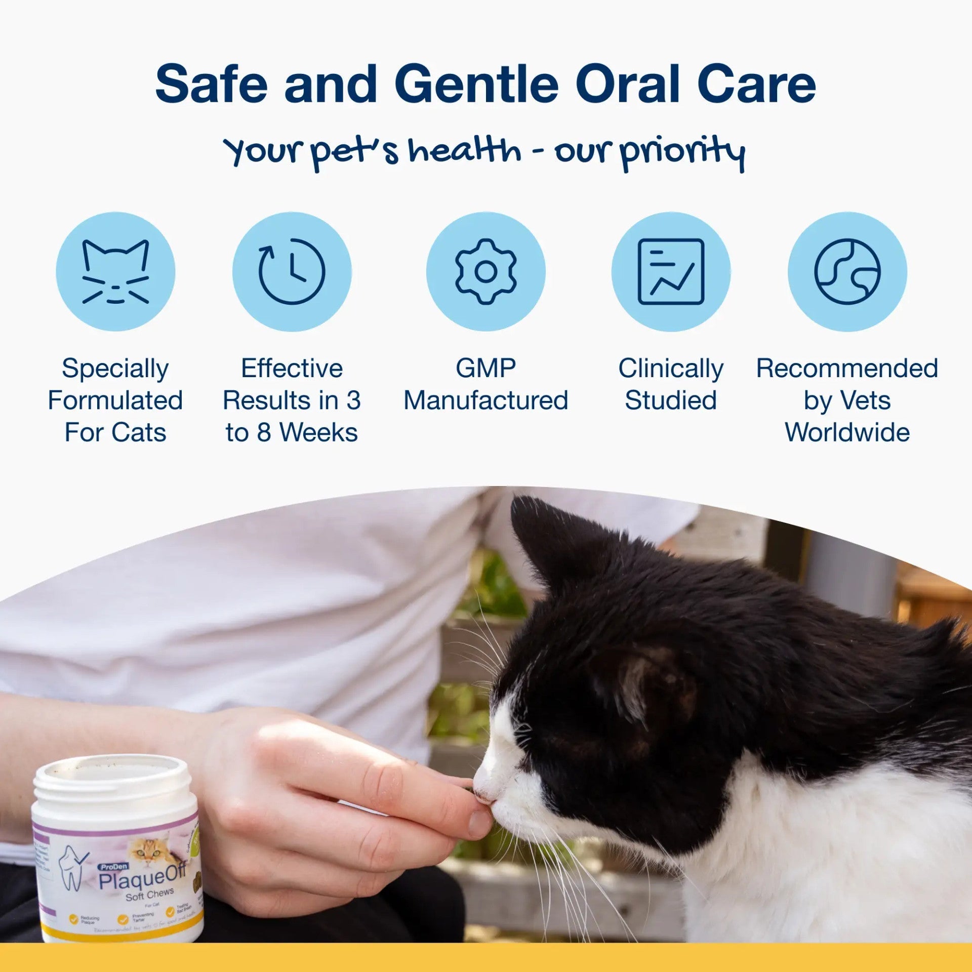 Safe and gentle oral care panel for ProDen PlaqueOff Cat Soft Chews, showing VOHC acceptance and GMP manufacturing