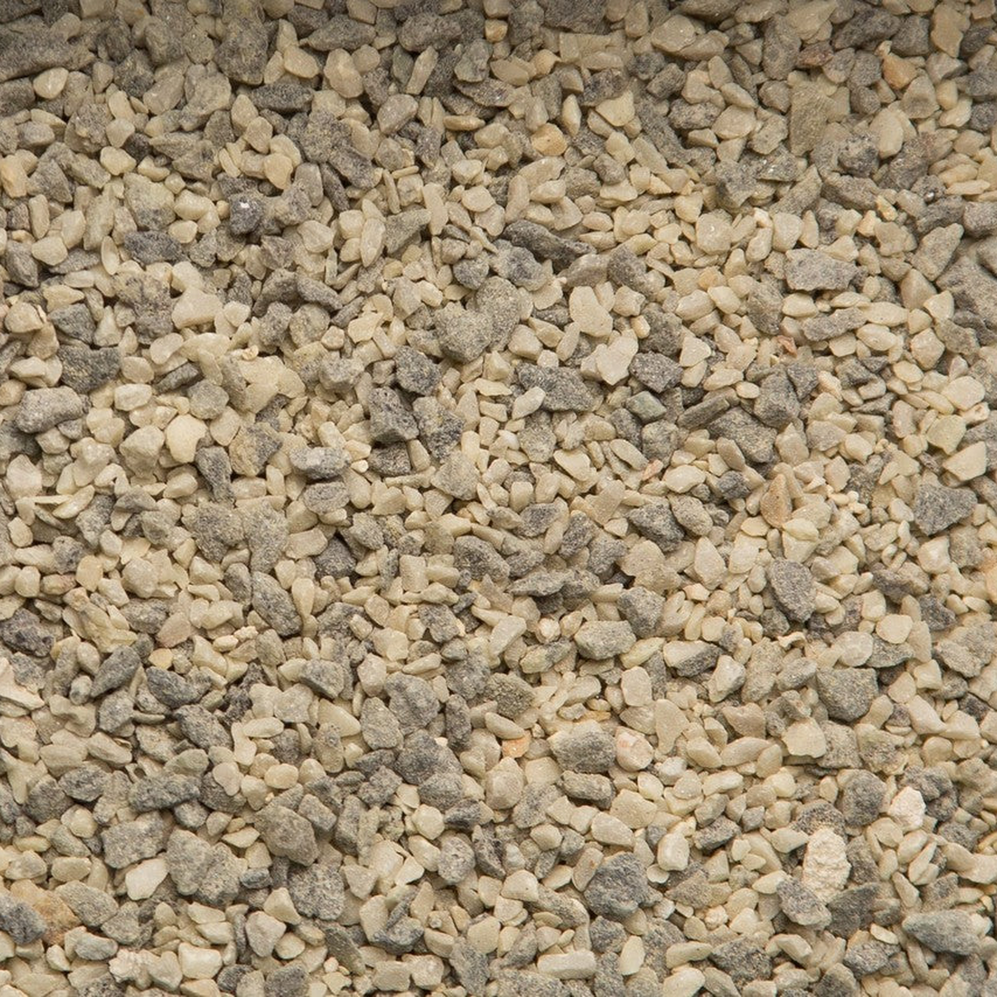 Purgrain White Grit high-calcium pigeon grit close-up