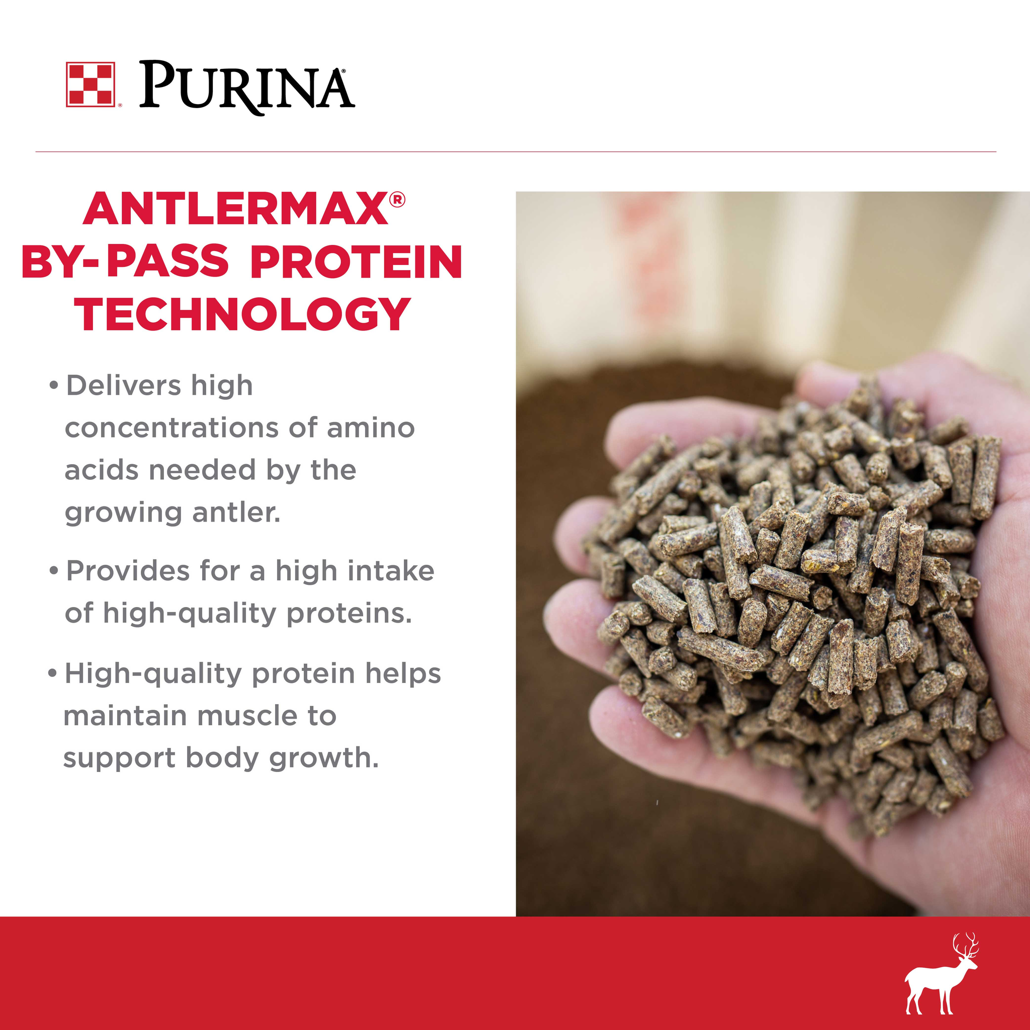 AntlerMax By-Pass Protein Technology delivers amino acids for growing antlers and muscle