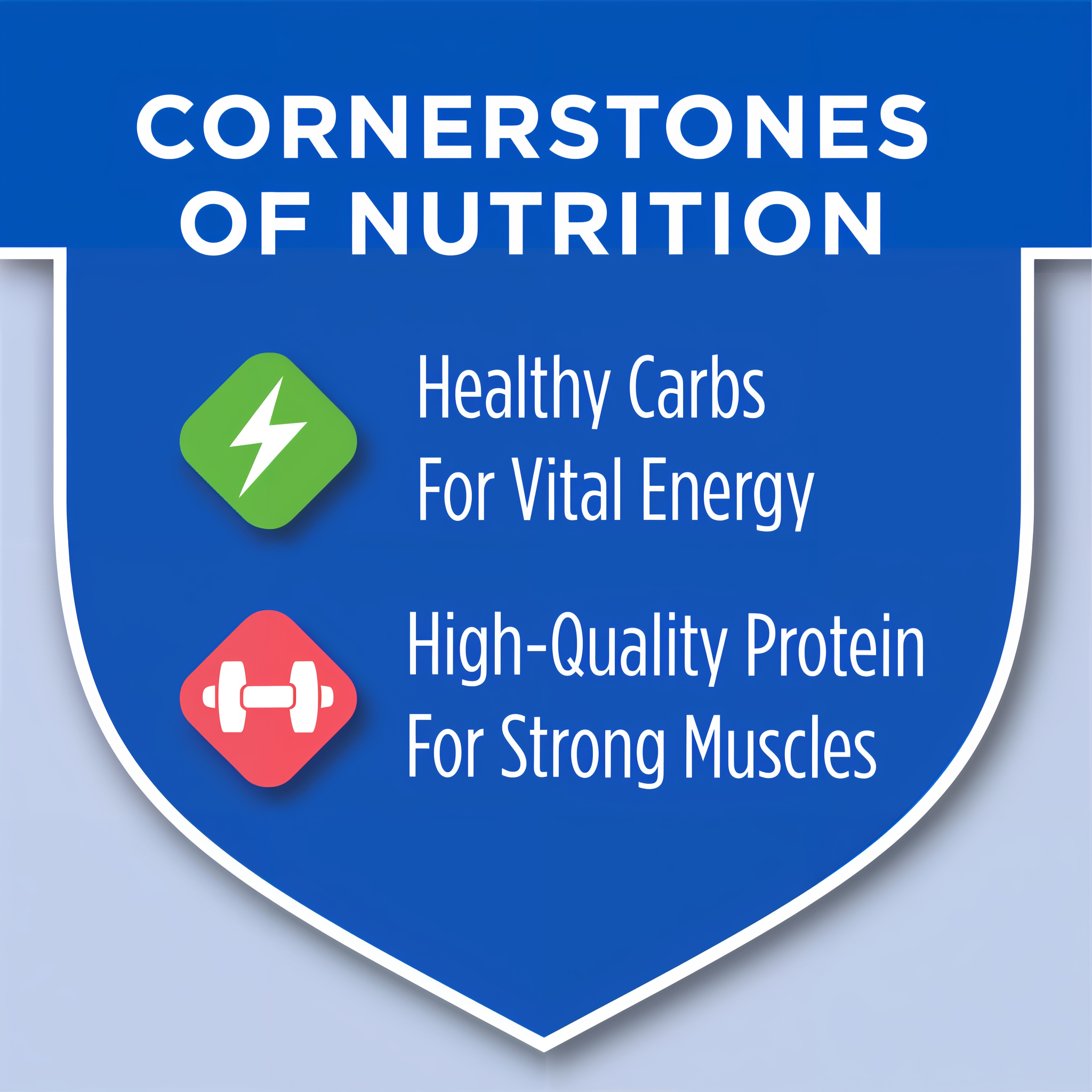 Cornerstones of nutrition for healthy cats with vital energy