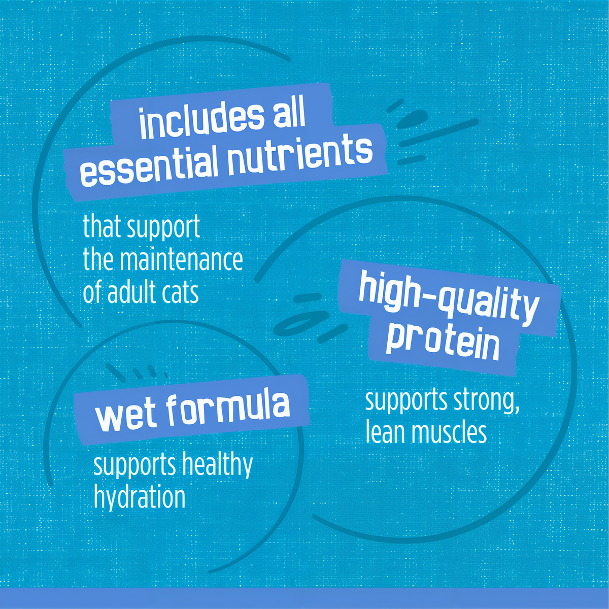 Includes all essential nutrients, high-quality protein and a wet formula that supports hydration