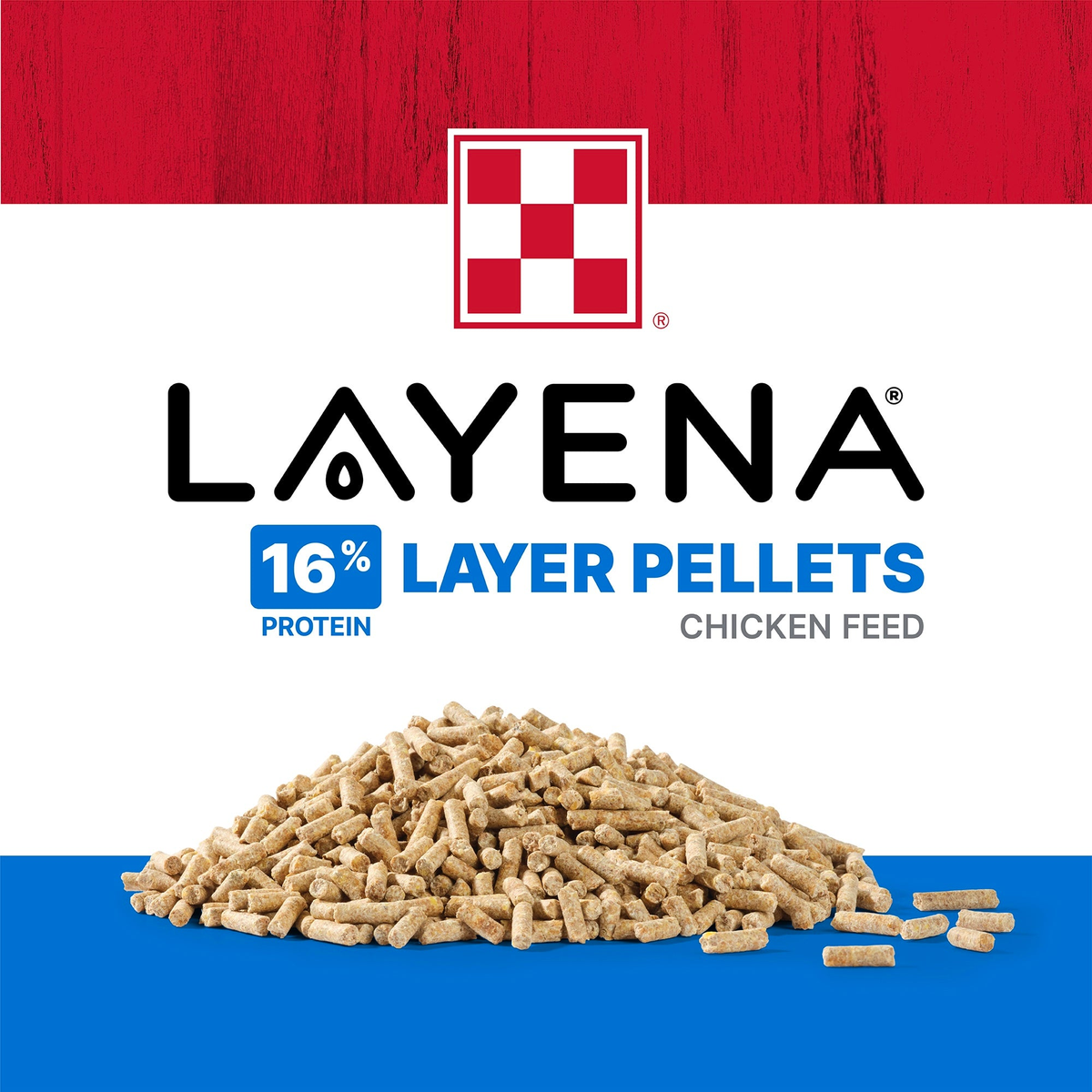 Close-up pile of Purina Layena 16 percent layer pellets chicken feed