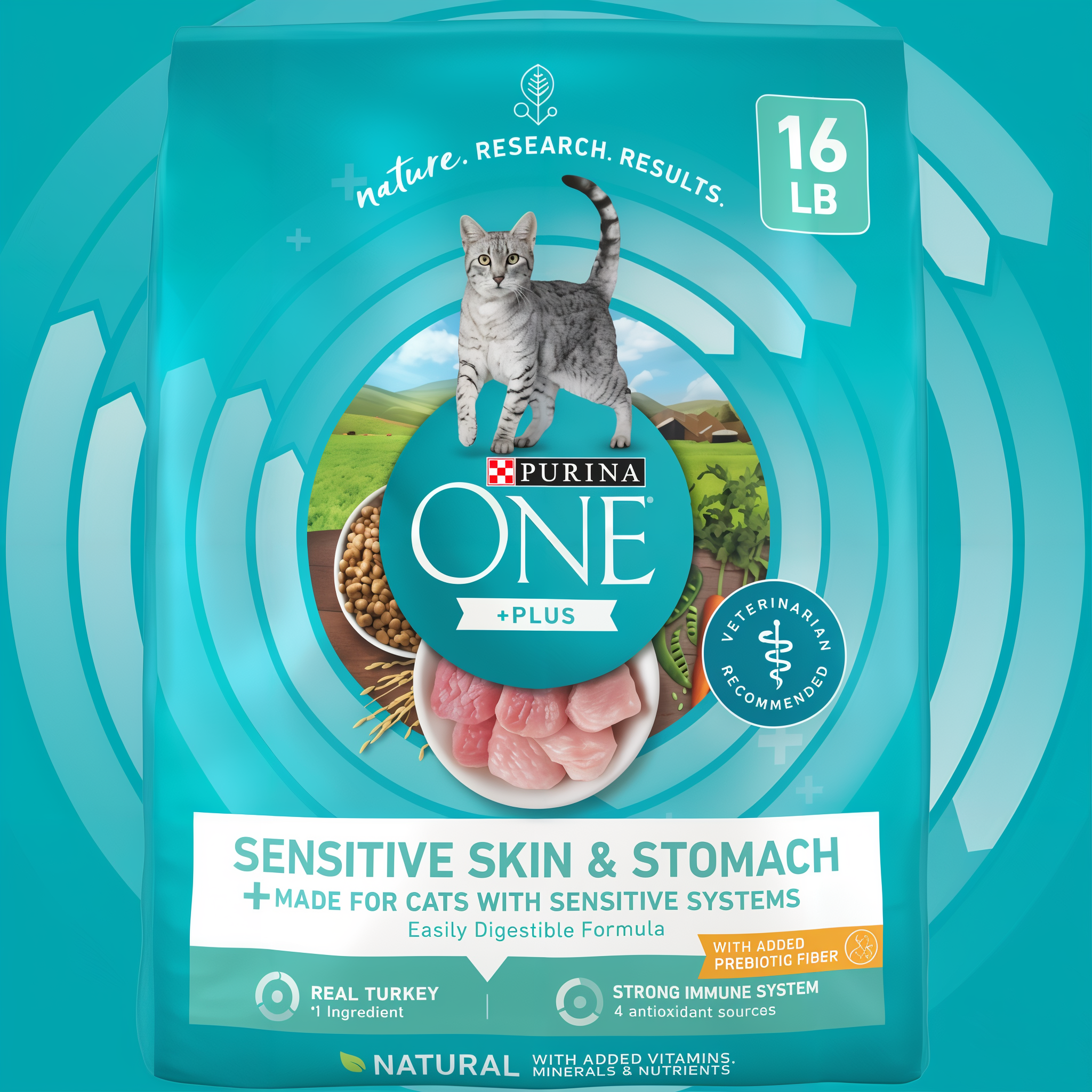 Purina ONE Plus Sensitive Skin & Stomach Dry Cat Food Turkey