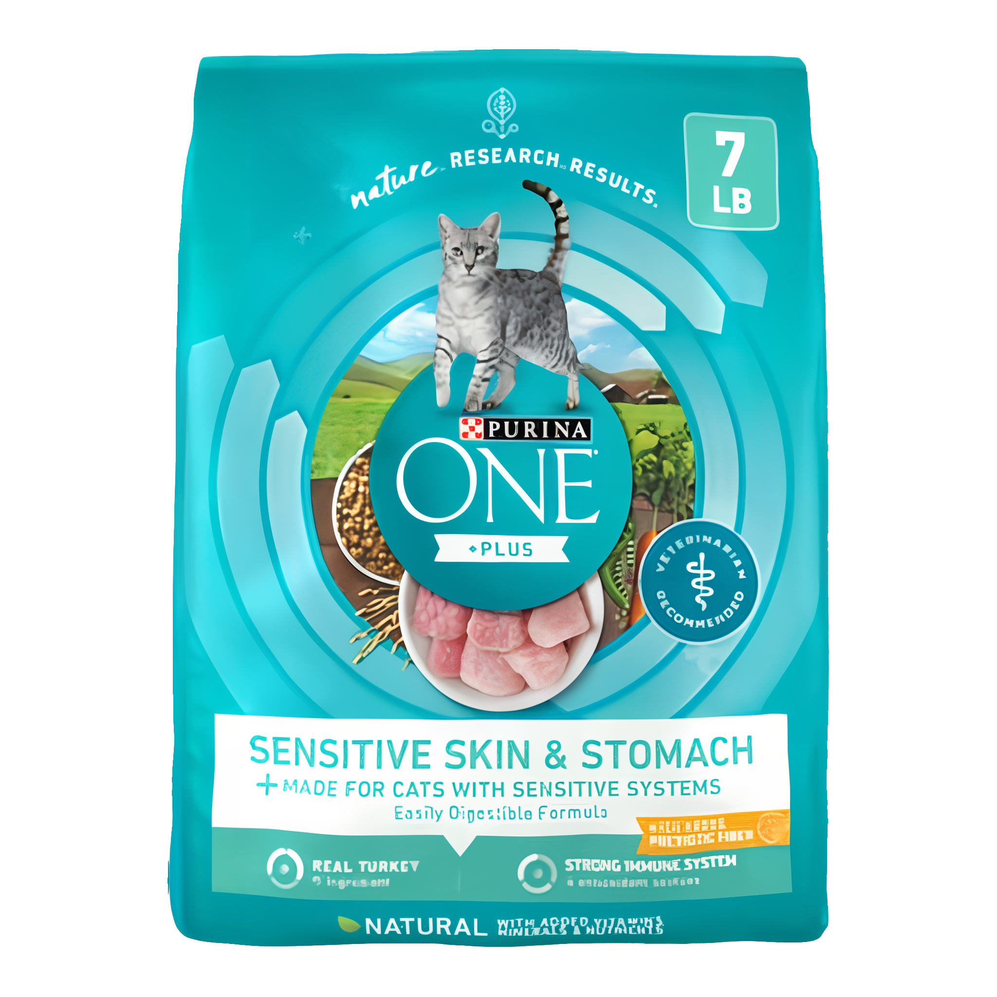 Purina ONE Sensitive Skin & Stomach Natural Turkey Flavor Dry Cat Food