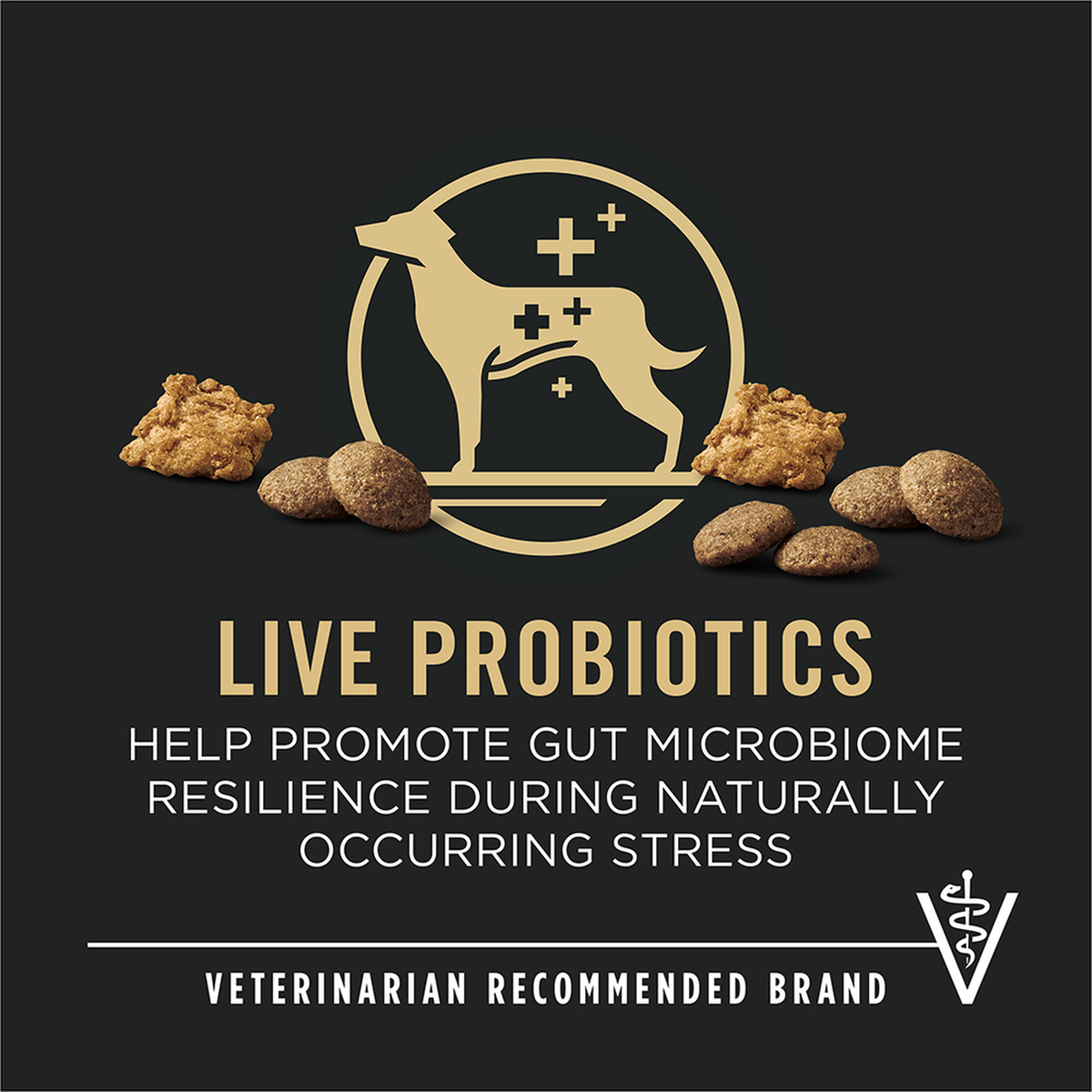 Live probiotics help promote gut microbiome resilience, veterinarian recommended brand