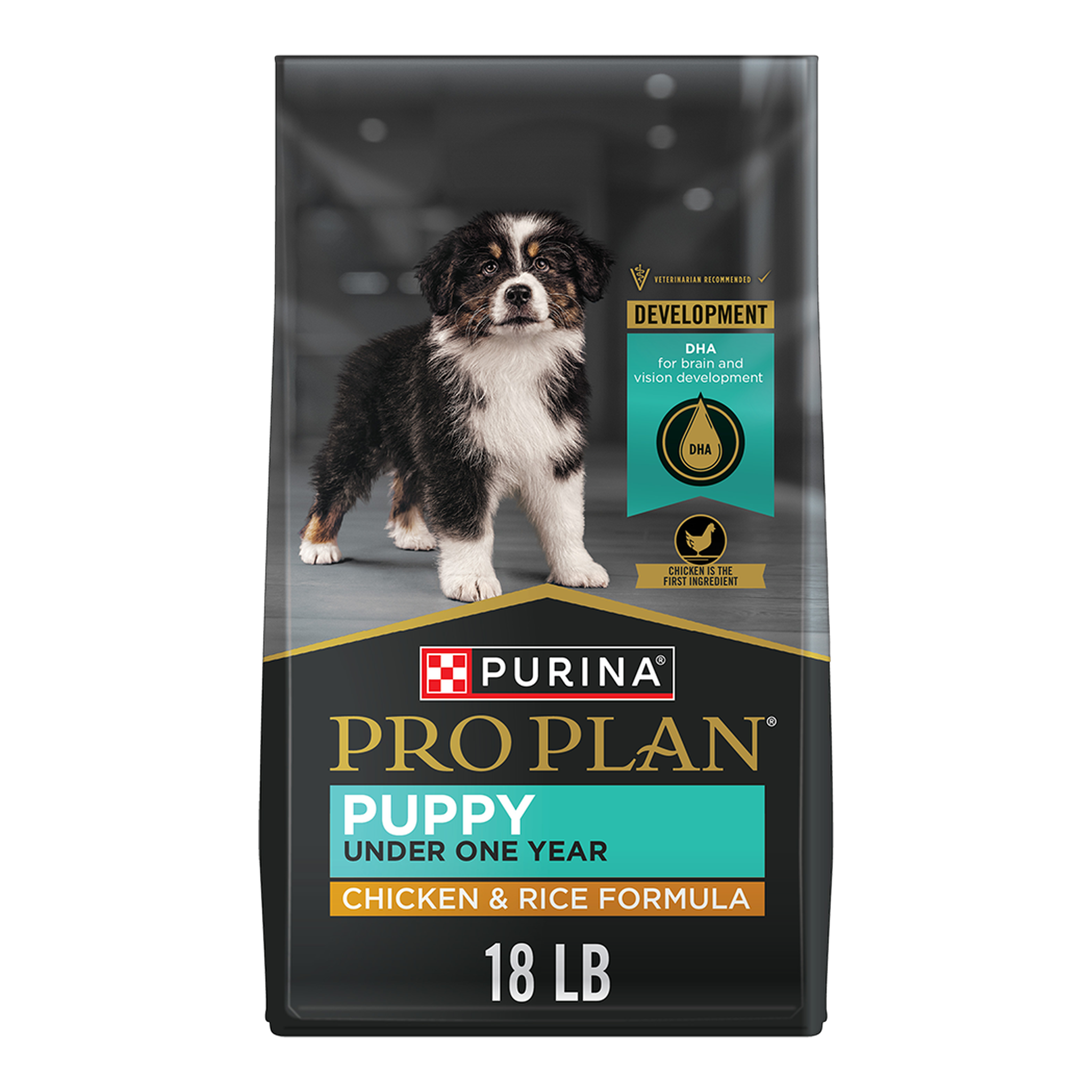 Purina Pro Plan Puppy Chicken and Rice Formula dry dog food bag