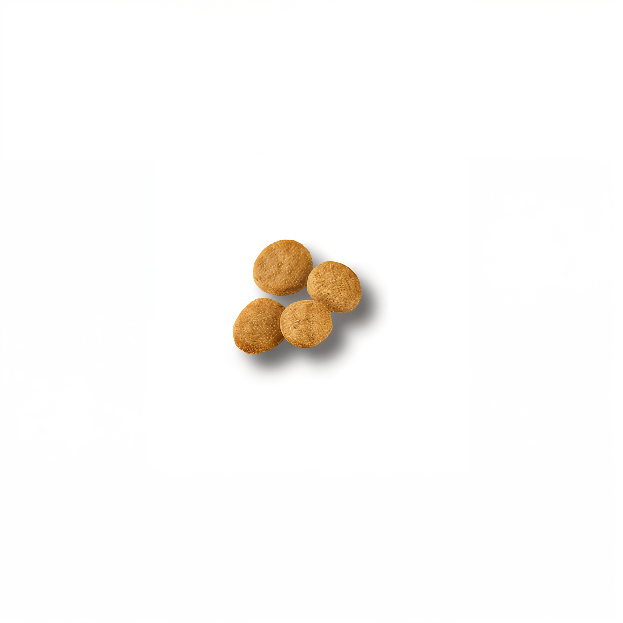 Close-up of Pro Plan Puppy Large Breed chicken and rice kibble