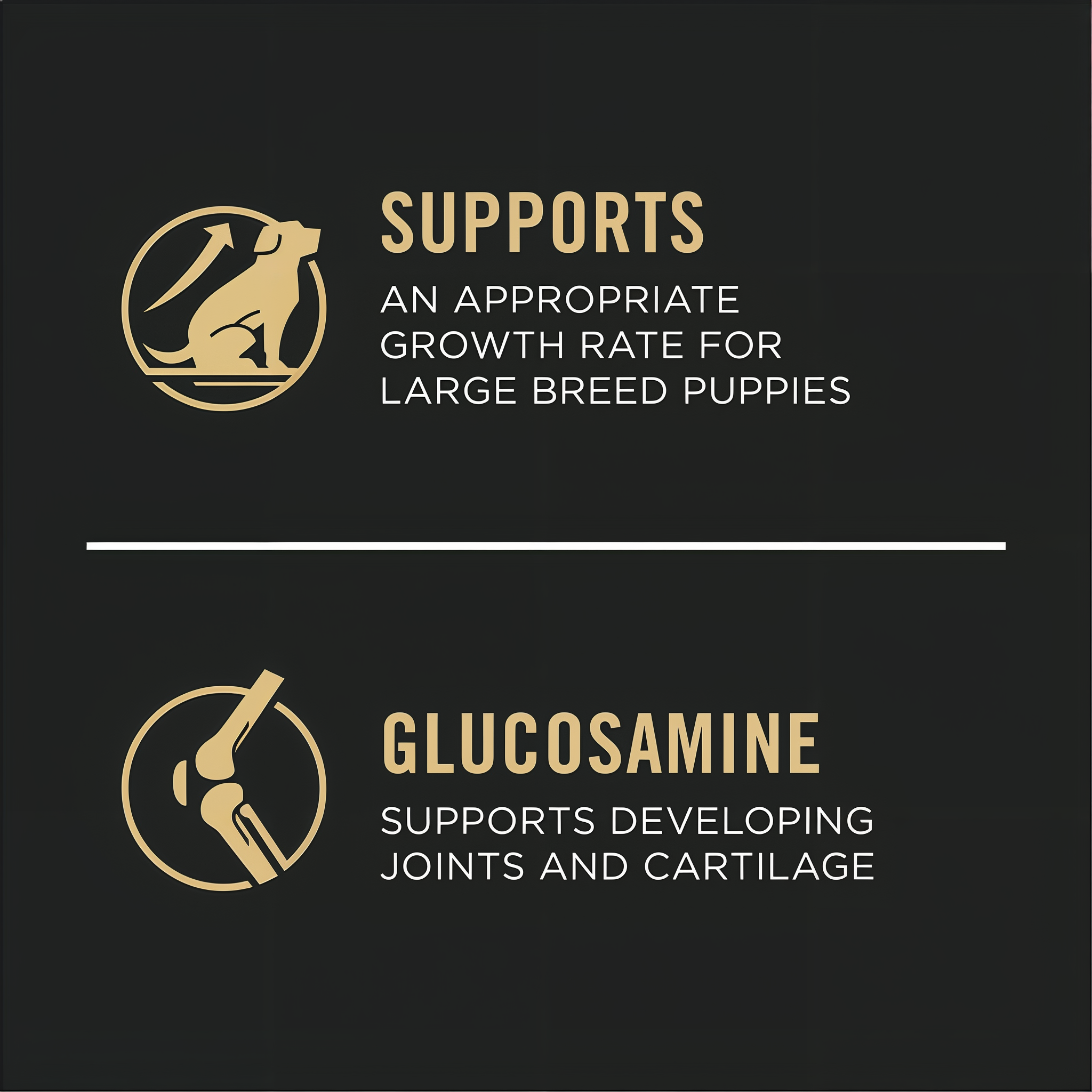 Supports an appropriate growth rate for large breed puppies with glucosamine for developing joints and cartilage