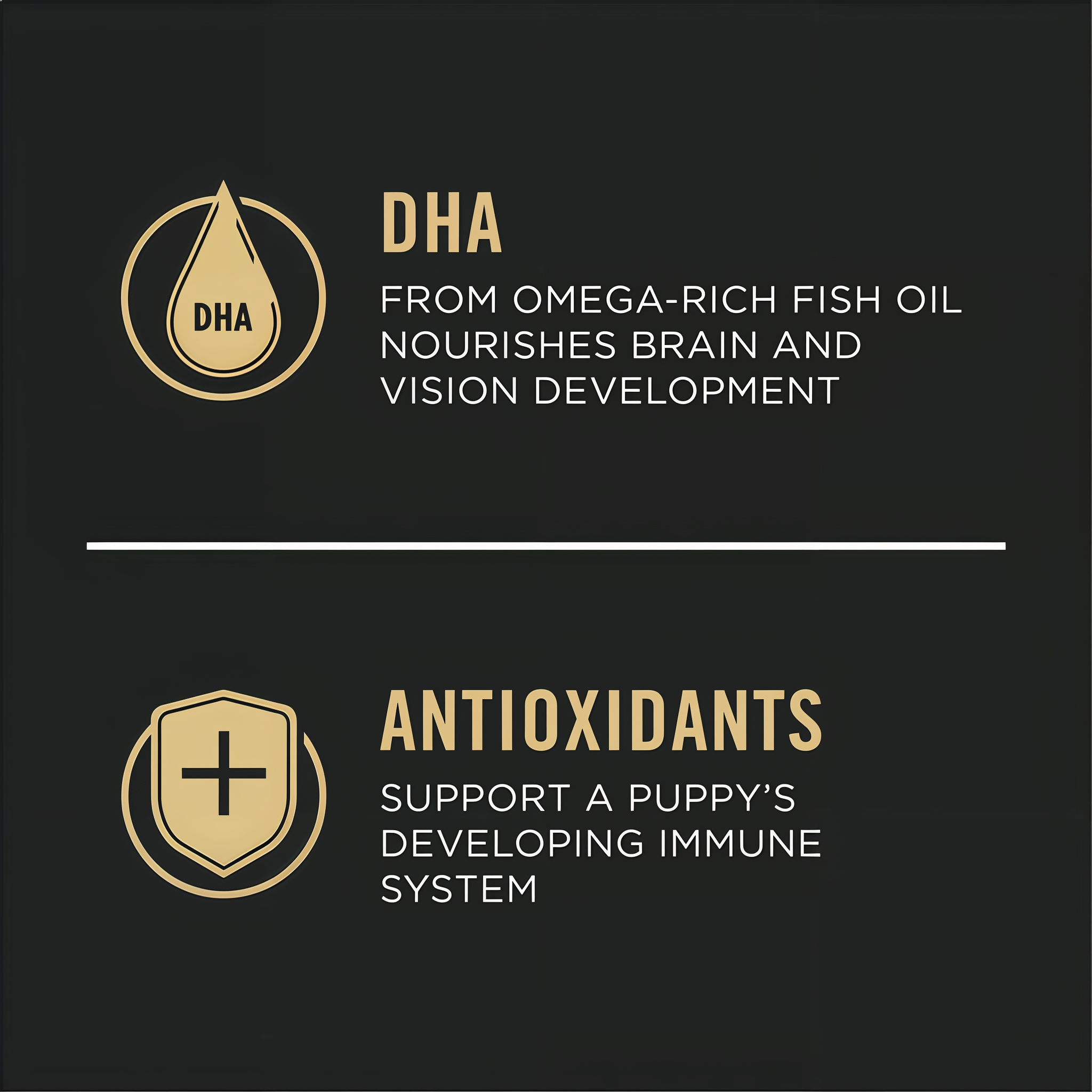 DHA from omega-rich fish oil nourishes brain and vision development with antioxidants for immune support