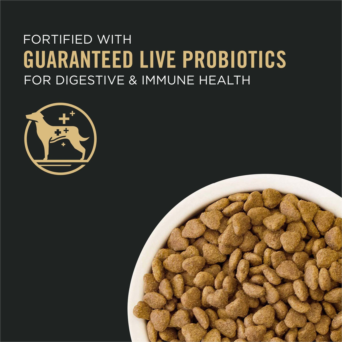 Fortified with guaranteed live probiotics for digestive and immune health, shown with a bowl of small bites kibble