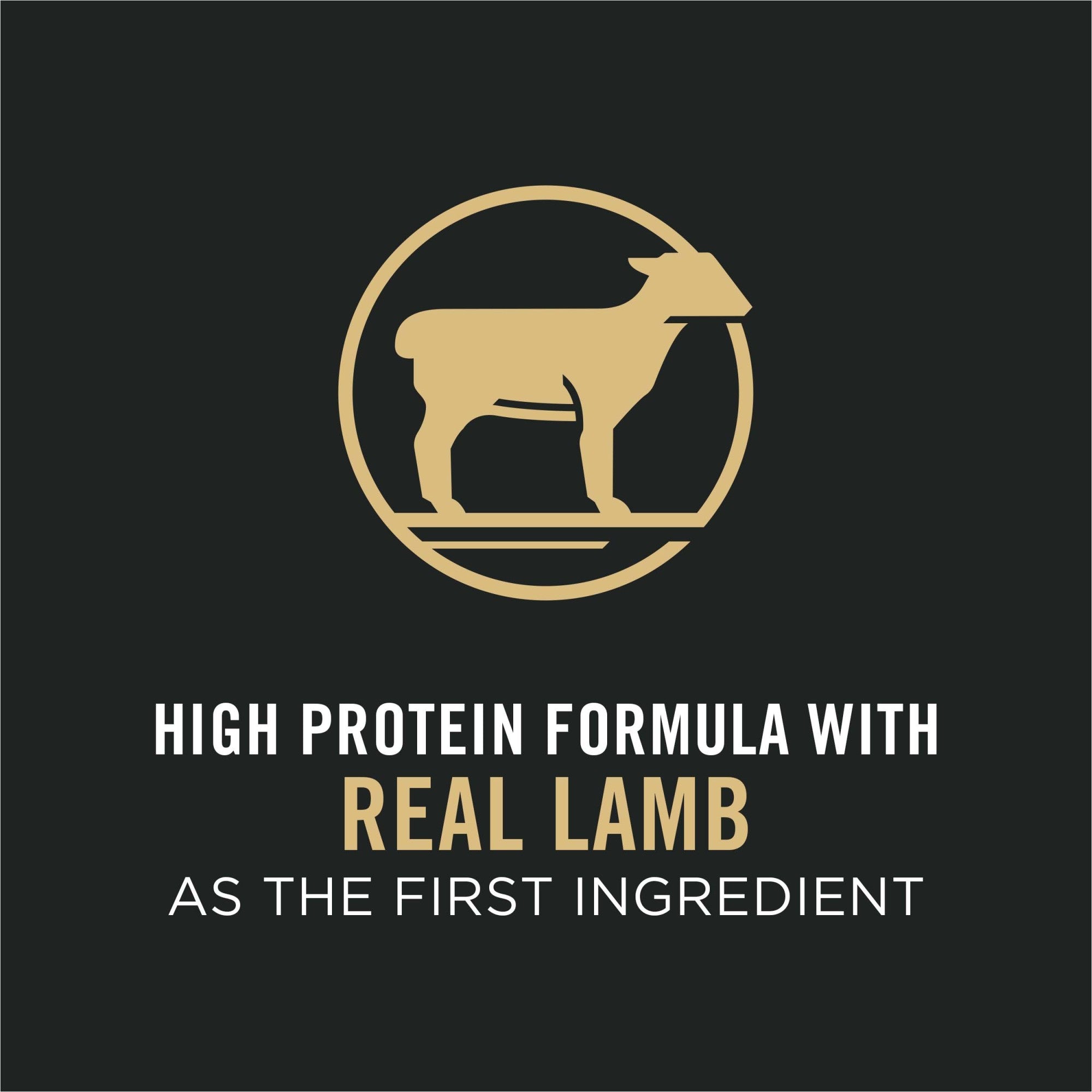 High protein formula with real lamb as the first ingredient
