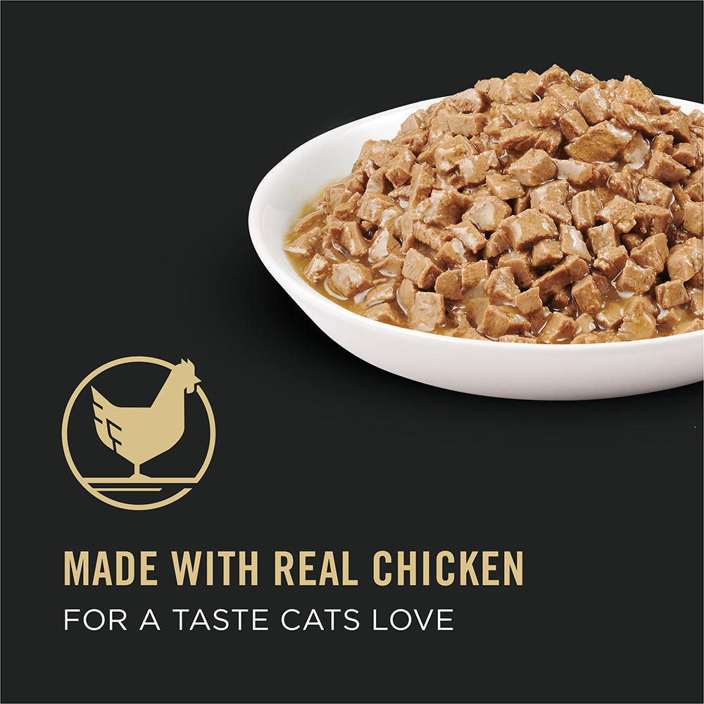 Bowl of Pro Plan Urinary Tract Health chicken entrée in gravy, made with real chicken