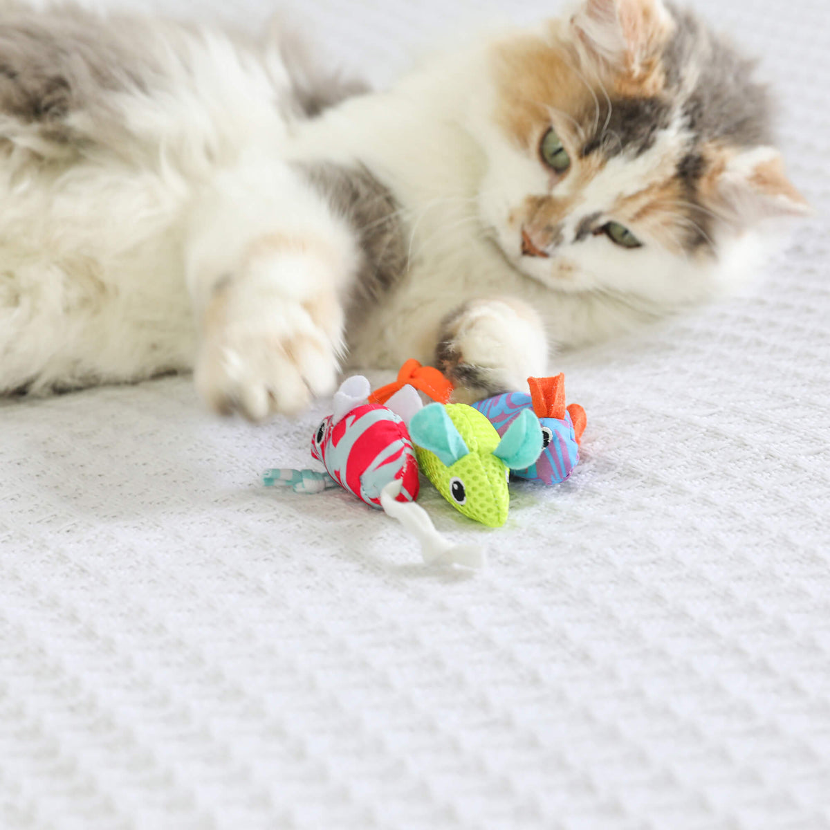 Fluffy calico cat on a white blanket reaching for three Quirky Kitty Cool Mice toys
