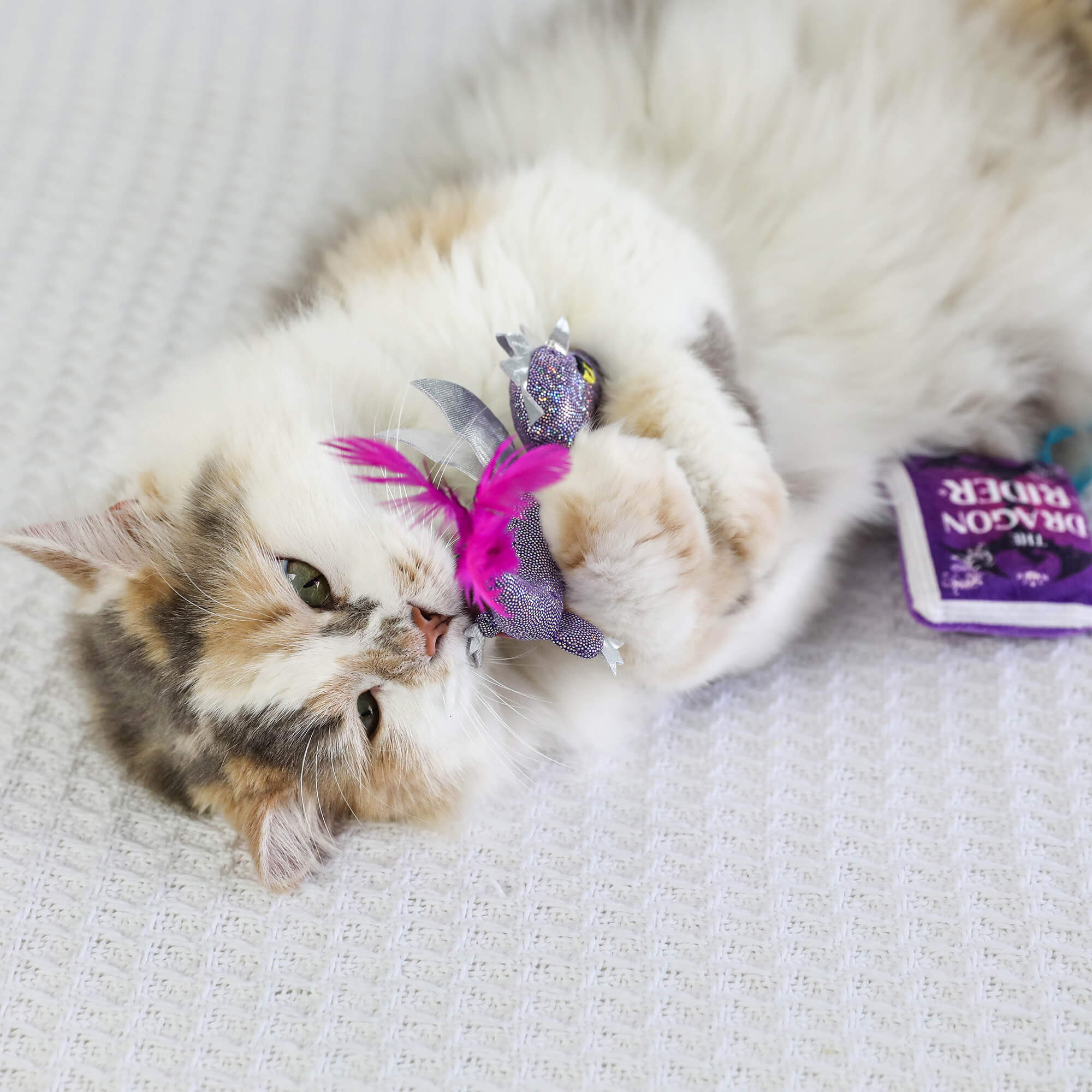 Fluffy calico cat on a white blanket hugging the sparkly purple dragon catnip toy