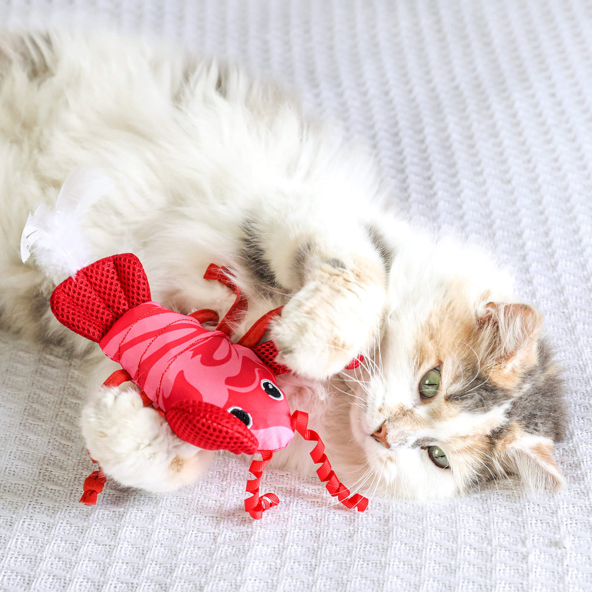Fluffy calico cat cuddling the Quirky Kitty Fresh Lobster Kicker on a blanket