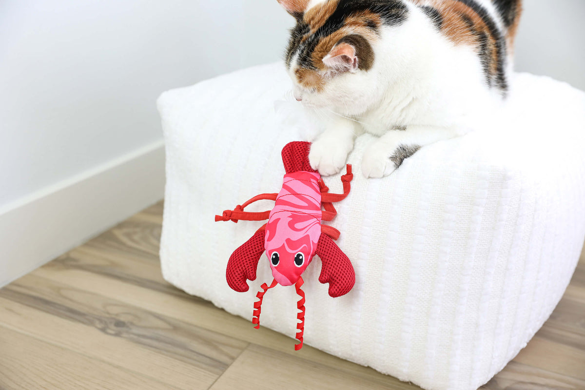 Calico cat pouncing on the Quirky Kitty Fresh Lobster Kicker from an ottoman