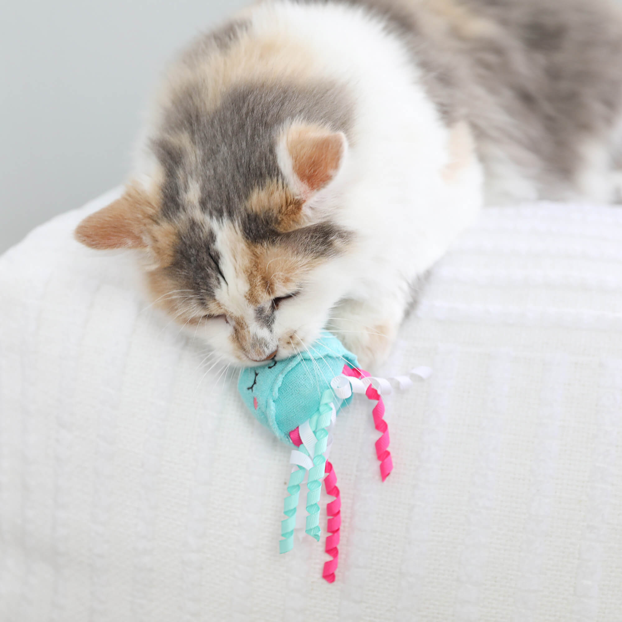 Calico cat nuzzling the teal Jellyfish & Chill toy with curly ribbon tentacles on a white blanket