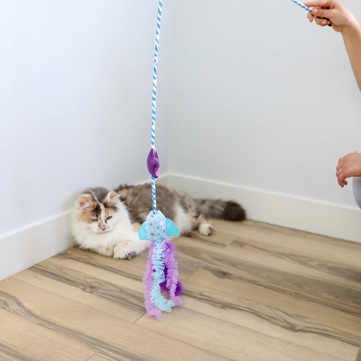 Gray and white cat watching the Quirky Kitty Manta Ray Wand being dangled